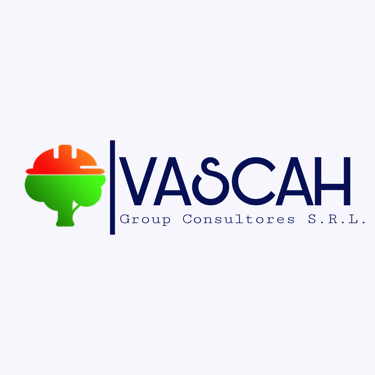 VASCAHGROUP CONSULTORES SRL